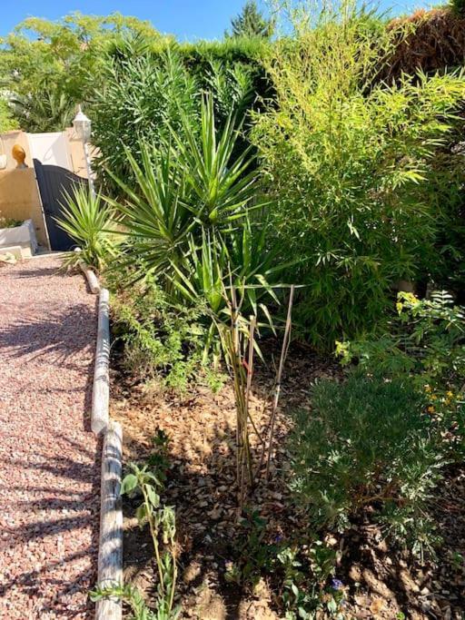 Charmante Villa Avec Une Ame. Pignan Esterno foto